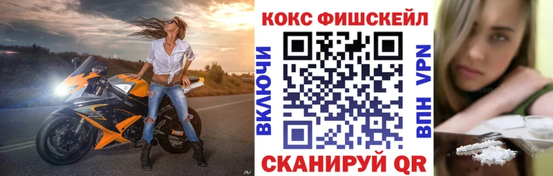 закладки  ссылка на мегу ТОР  Кокаин FishScale  Пучеж 