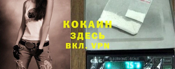 трава Новозыбков
