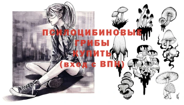 стафф Осташков