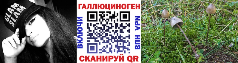 Псилоцибиновые грибы ЛСД  kraken как зайти  Пучеж  закладки 